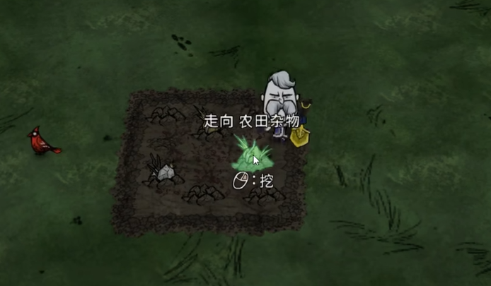 饥困荒野巨大化作物种植全攻略:高效培育方法与实用技巧