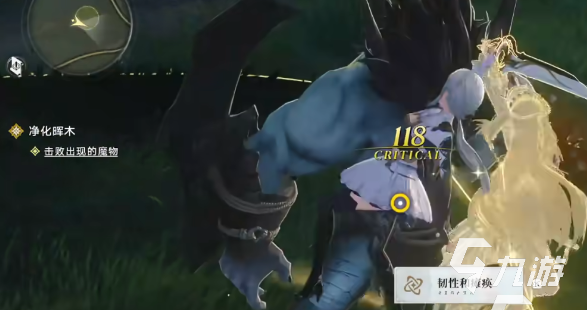 归环净化晖木任务全流程攻略:步骤详解与注意事项