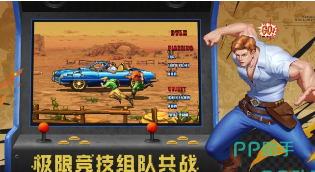地下城之光职业选择与宠物协同作战示意