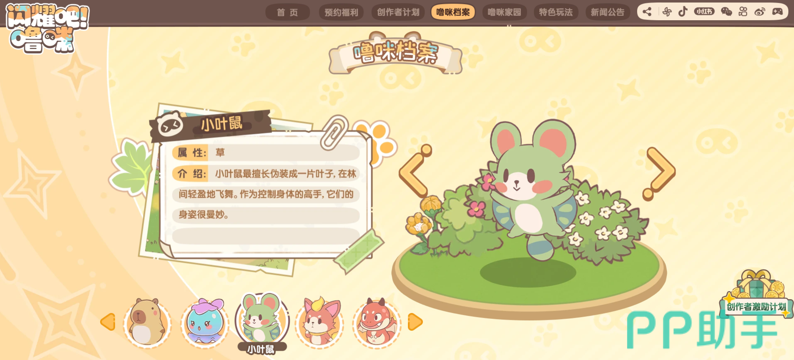 闪耀吧噜咪双水母贝贝阵容示意图