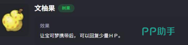 文柚果道具图标
