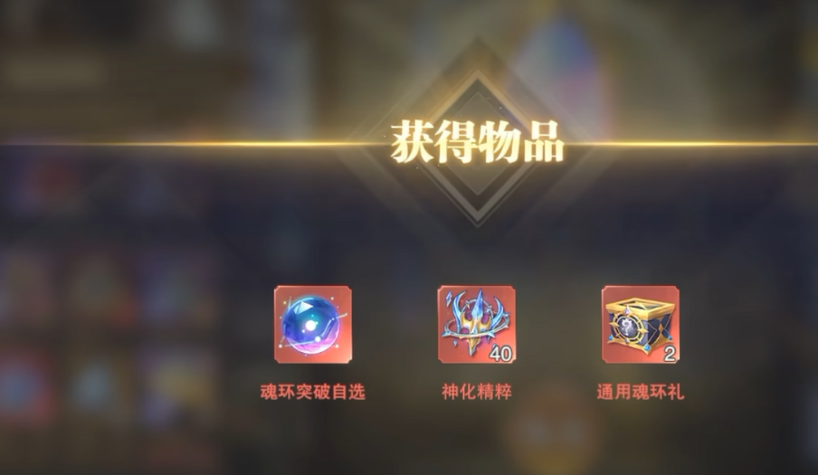 放弃鉴定后果说明图