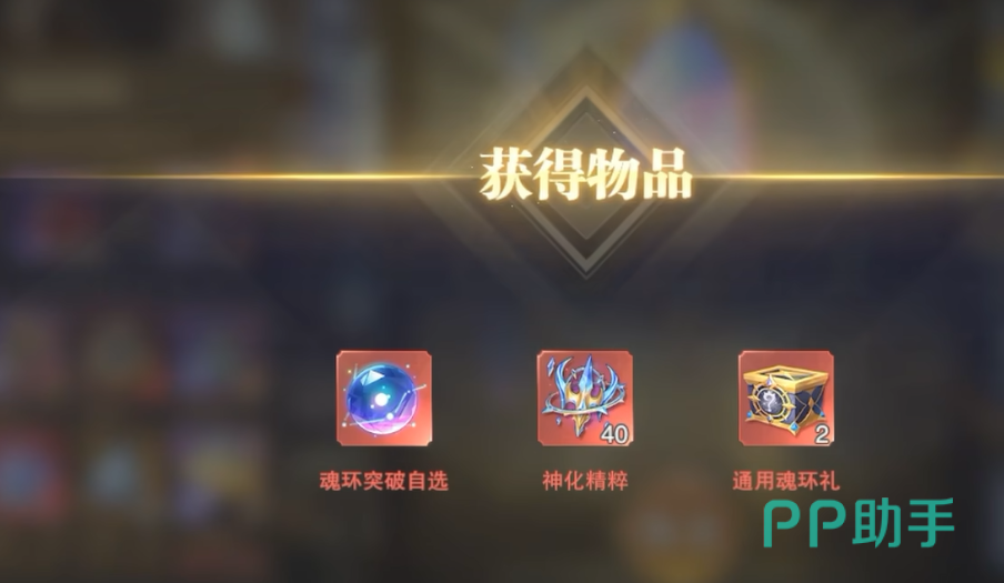 放弃鉴定后果说明图