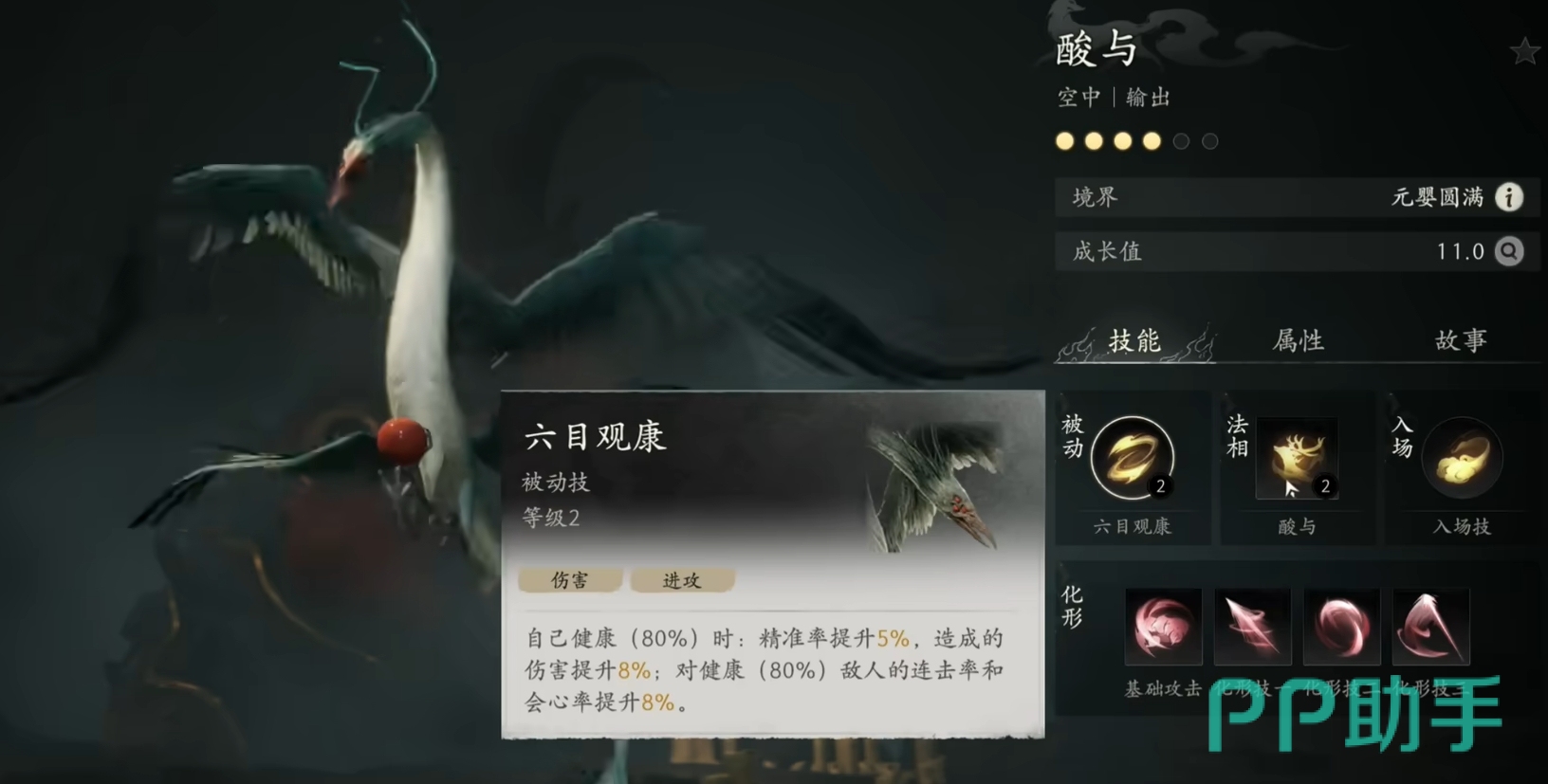 酸与形象展示