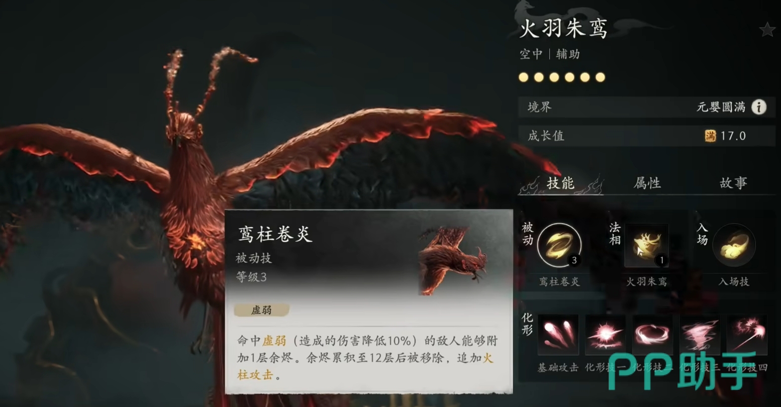 火羽朱鸾形象展示