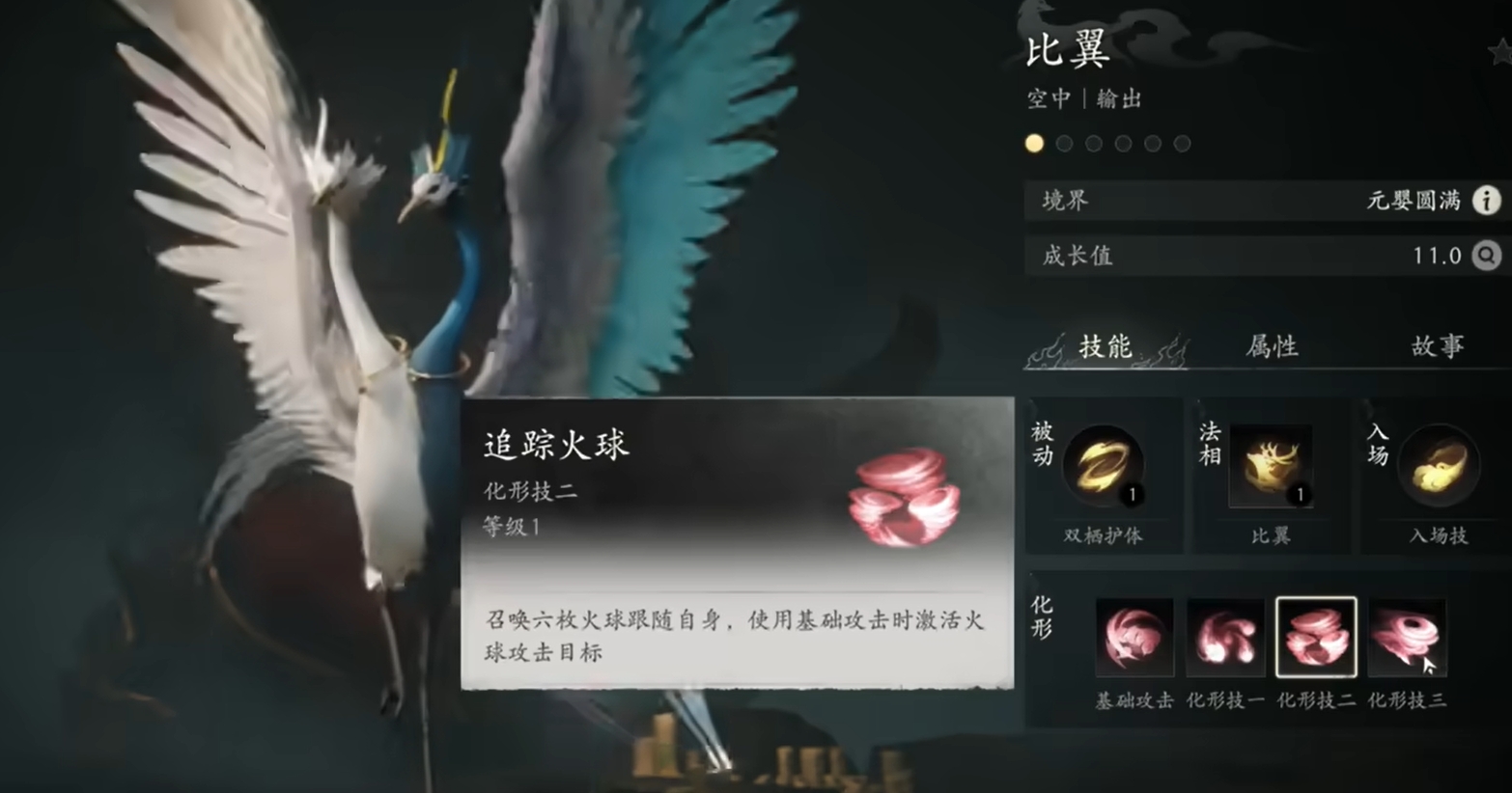 比翼形象展示