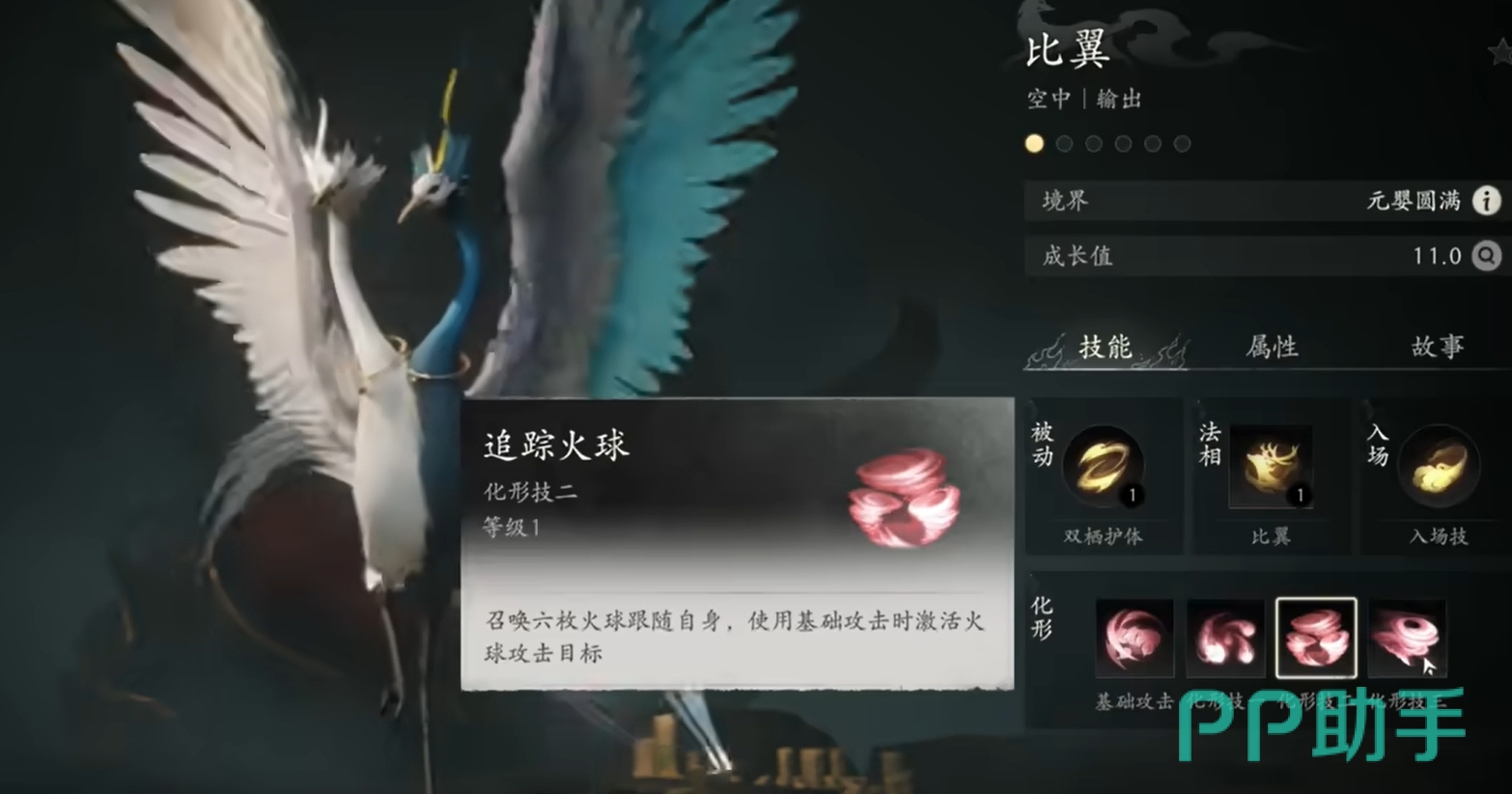比翼形象展示