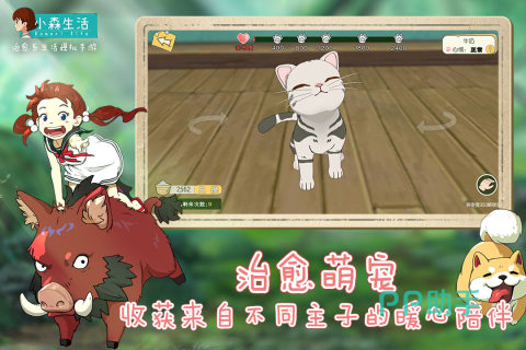 小森生活森林采集与动物捕捉场景
