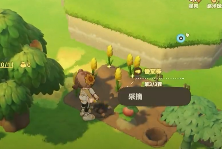 禾夏水稻航线与塔法小麦航线星屿分布示意