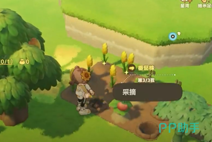 禾夏水稻航线与塔法小麦航线星屿分布示意
