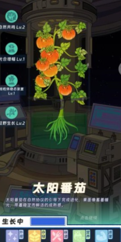 精密协议等级与特性权重对照图