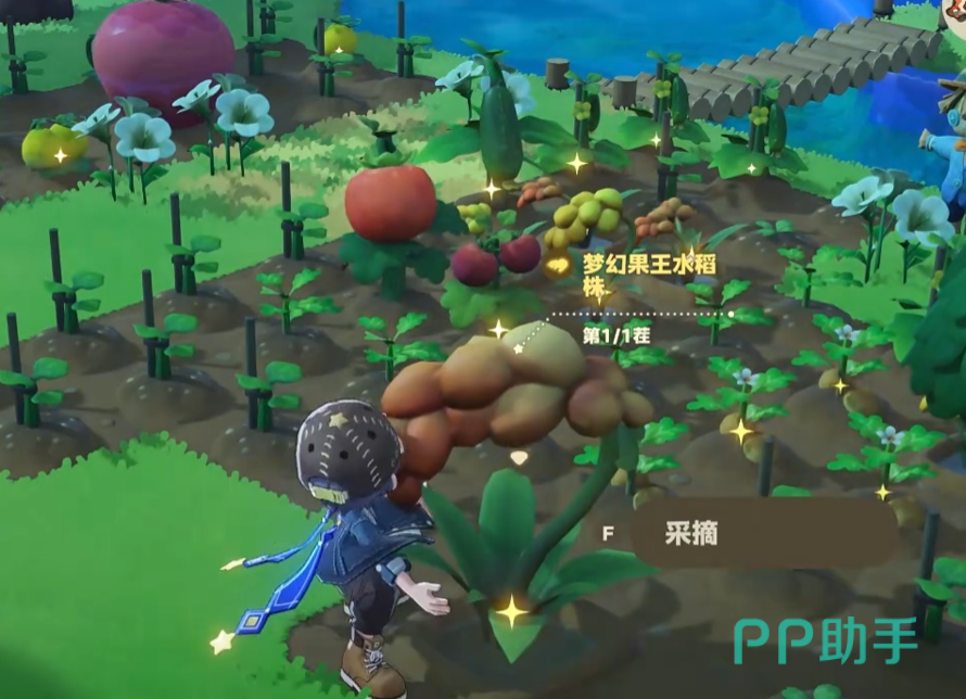 星布谷地梦幻果王合成布局图