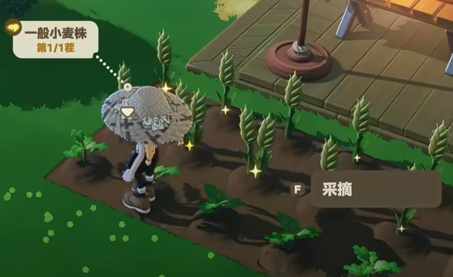 星海旅行路线示意图：禾夏线与塔法线对应不同主题星屿