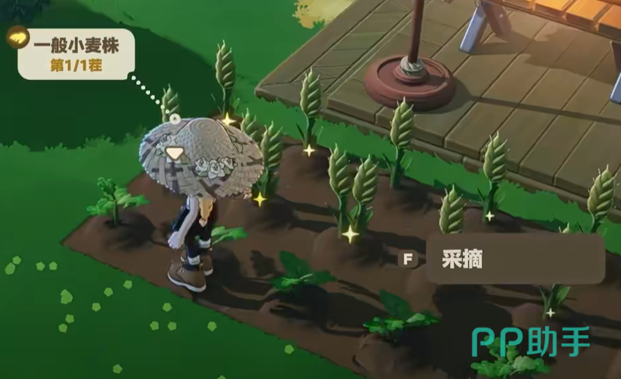 星海旅行路线示意图:禾夏线与塔法线对应不同主题星屿