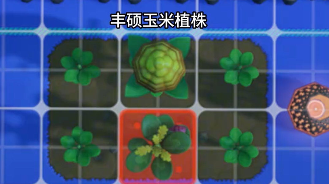 星布谷地丰硕作物培育示意图