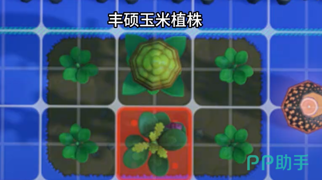 星布谷地丰硕作物培育示意图