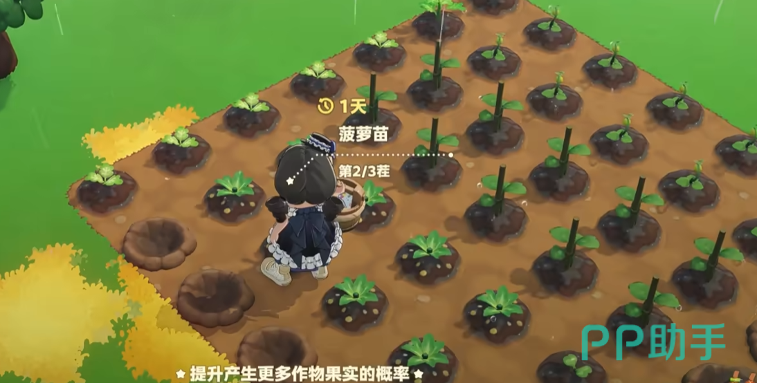 星布谷地肥料类型识别界面