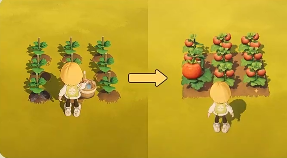 星布谷地蓝莓火龙果种植界面