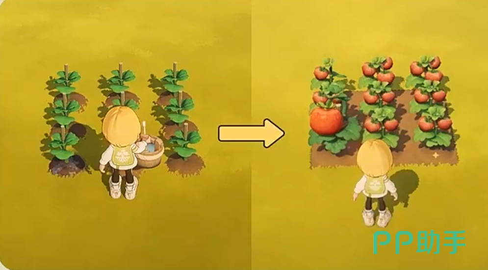 星布谷地蓝莓火龙果种植界面