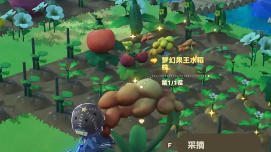 生态缸与昆虫捕捉界面