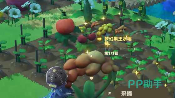 生态缸与昆虫捕捉界面