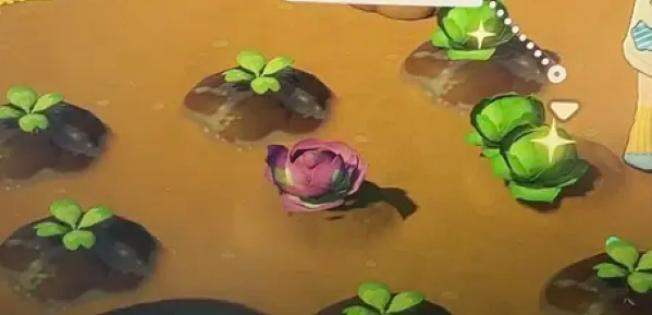 莫白赠送露卡种子场景