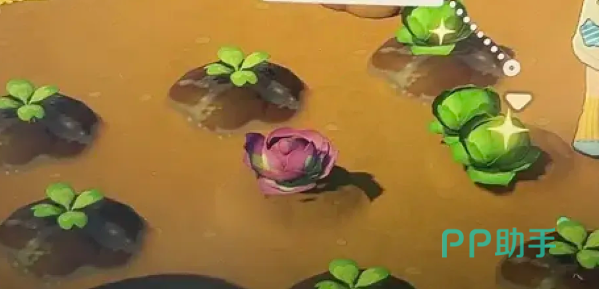 莫白赠送露卡种子场景