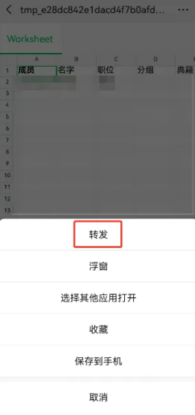 成员数据表格效果预览图