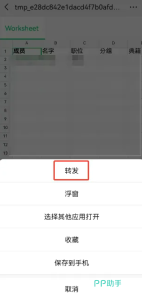 成员数据表格效果预览图