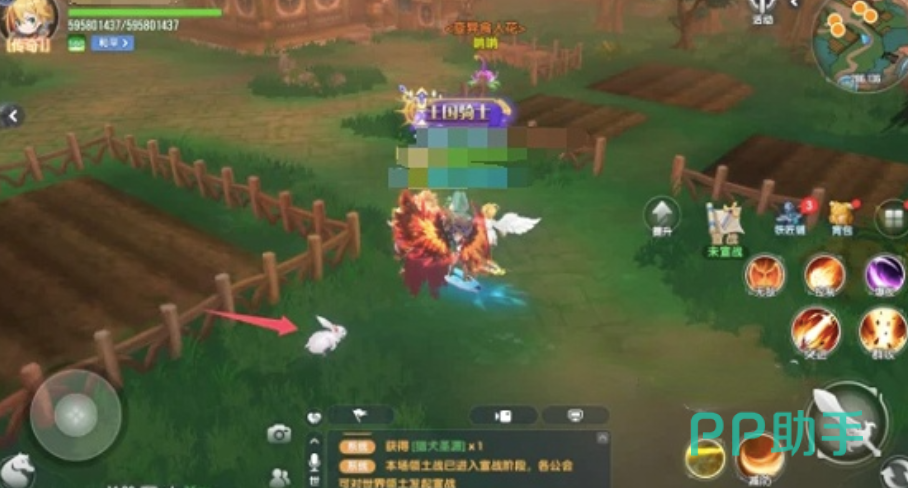 风之国世界小白兔触发点特写