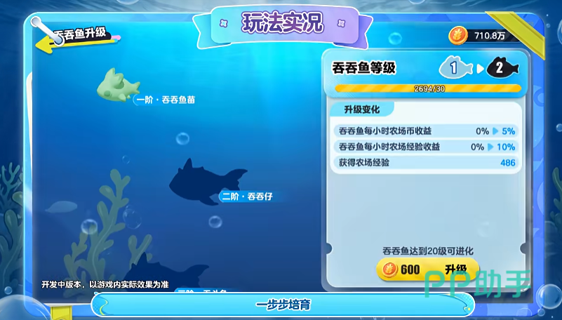 吞吞鱼一阶苗外观展示图