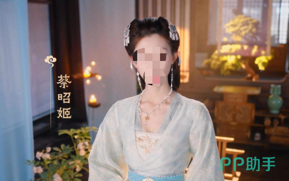 代号三国龙起真爱昭姬成就图标展示
