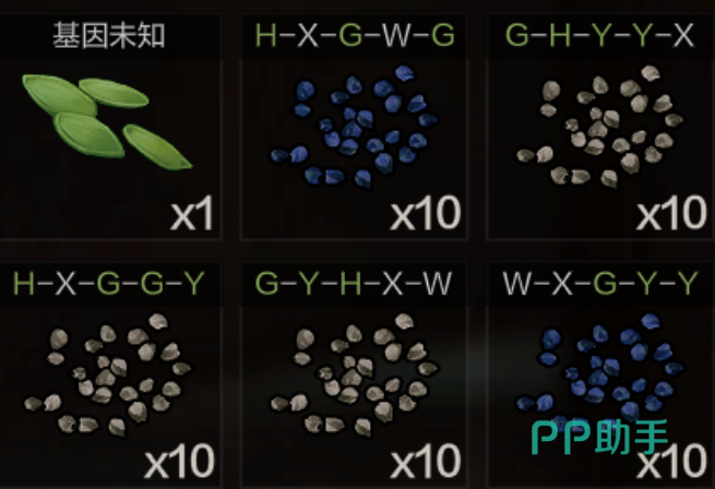 失控进化种子基因显示界面