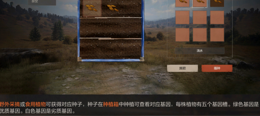 失控进化基因字母含义说明