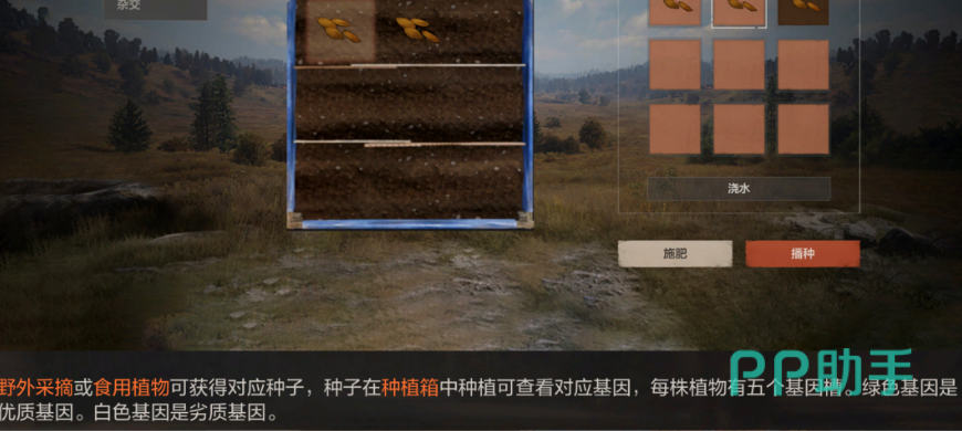 失控进化基因字母含义说明