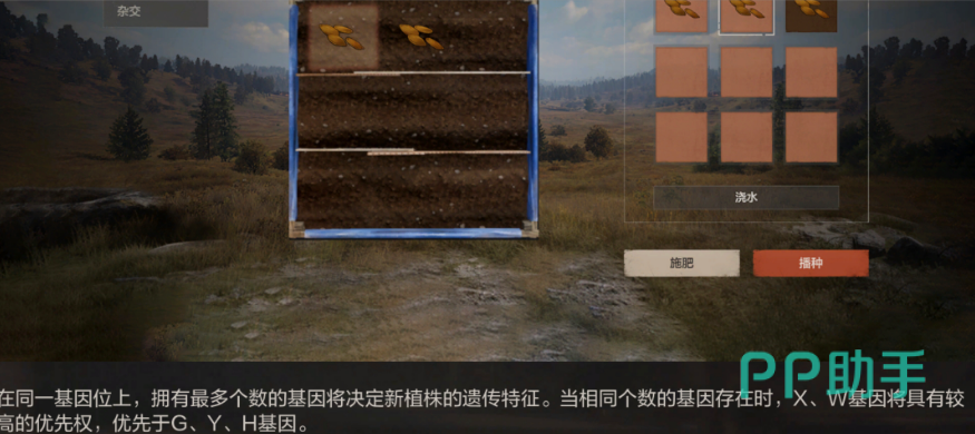 失控进化杂交遗传机制示意图