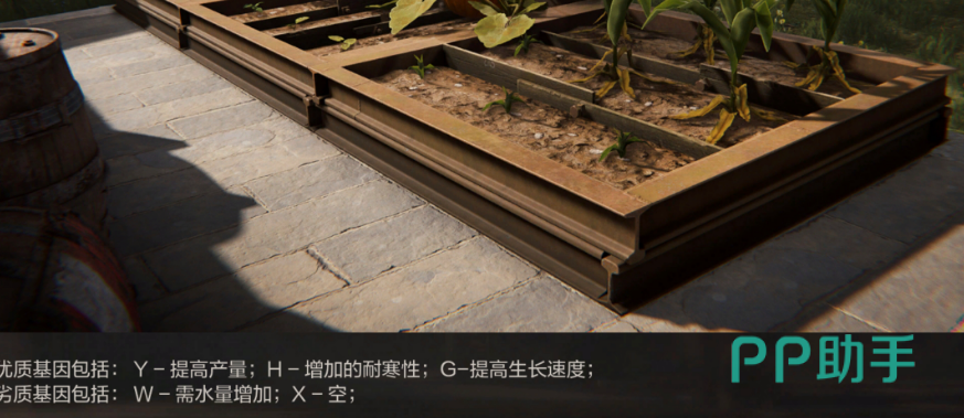 失控进化杂交布局示意图