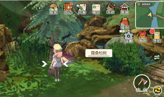 小森生活高山松茸采集全流程示意图