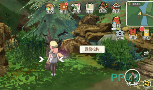 小森生活高山松茸采集全流程示意图