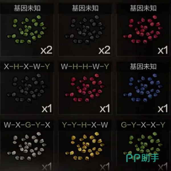 失控进化种子基因分布示意图