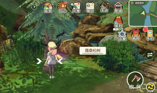 小森生活松树采集实拍图