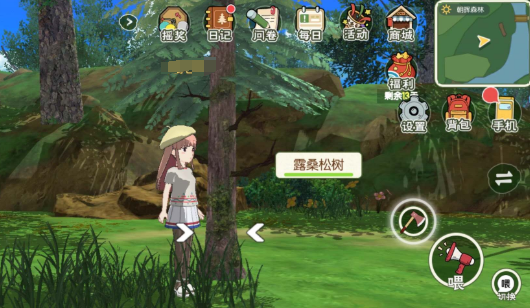 小森生活高山松茸刷新周期说明图