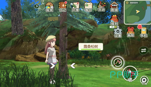 小森生活高山松茸刷新周期说明图
