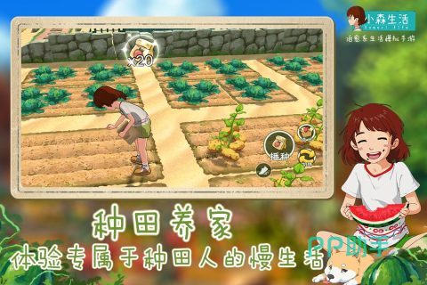 小森生活玩家成功钓起鱼类的场景截图