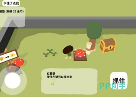 舒舒服服小岛时光播种胡萝卜种子