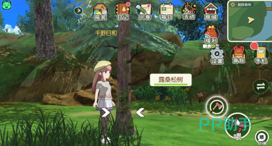 小森生活松树刷新时间说明图