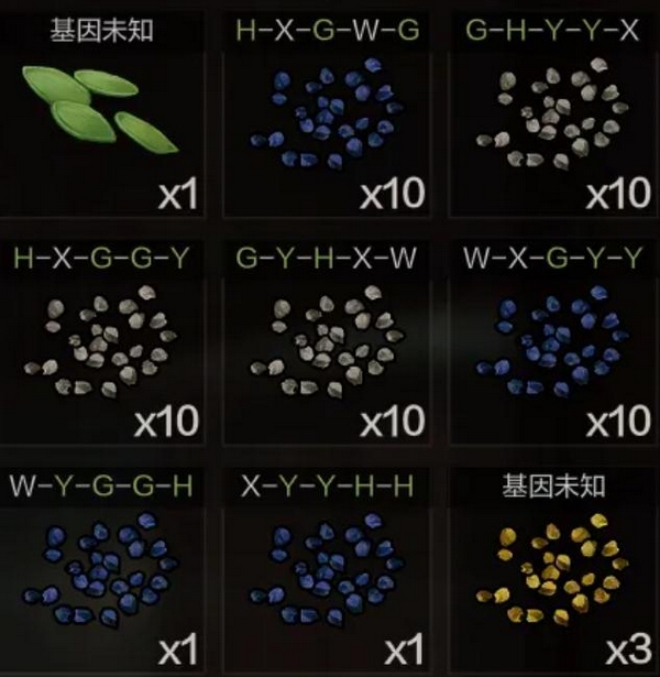 失控进化种子优质基因培育与高效种植搭配指南