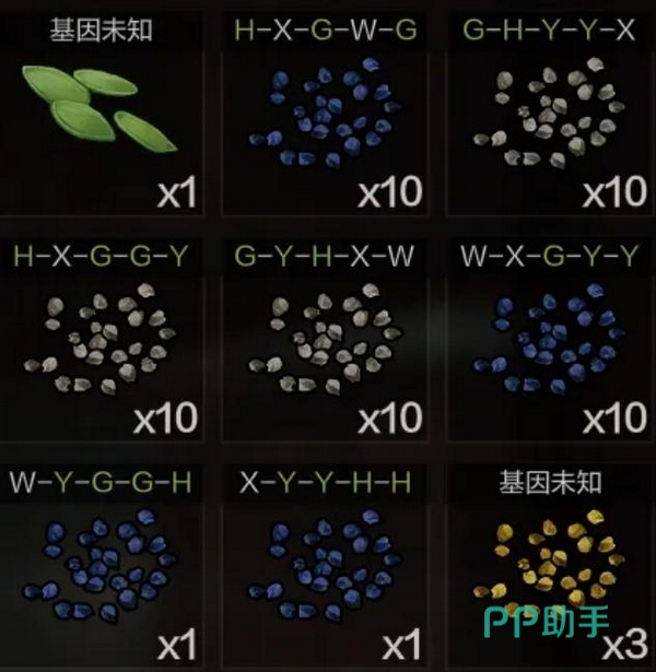 失控进化浆果种子基因图示