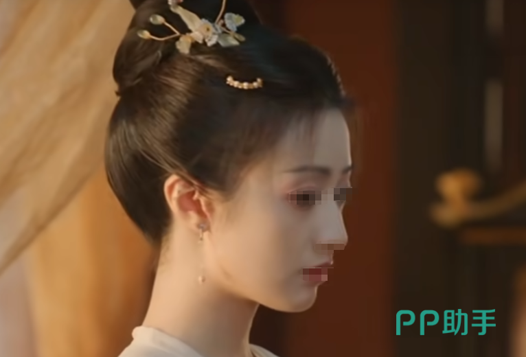 盛世天下女帝篇角色季怀衷形象图
