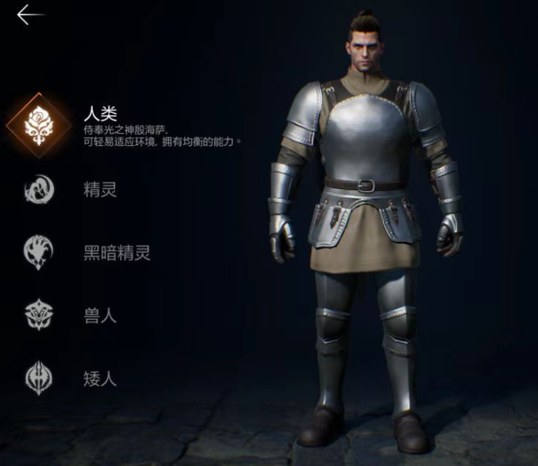 天堂2盟约精英副本团队站位示意